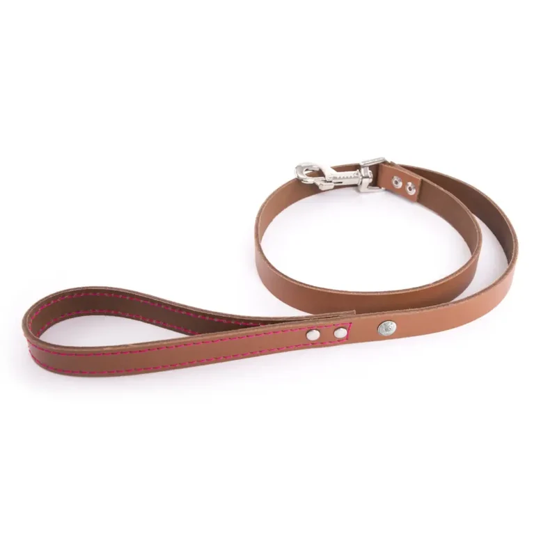 Martin Sellier - Chien - Laisse cuir Flash couture fluo