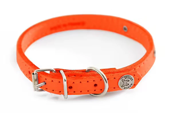 Martin sellier - Chien - Collier