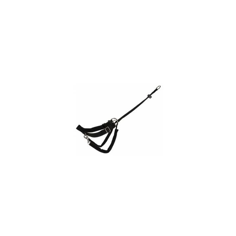 Harnais anti-traction chien