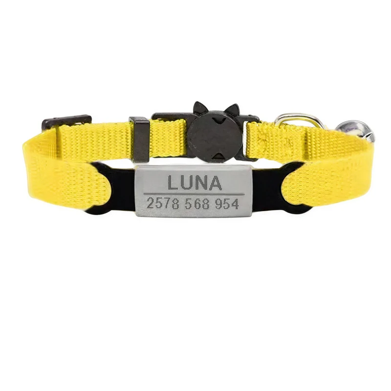 Collier à graver personnalisé pour chaton