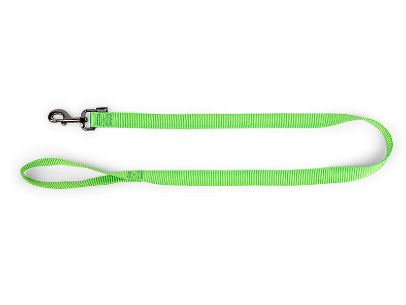 Laisse Classic Nylon