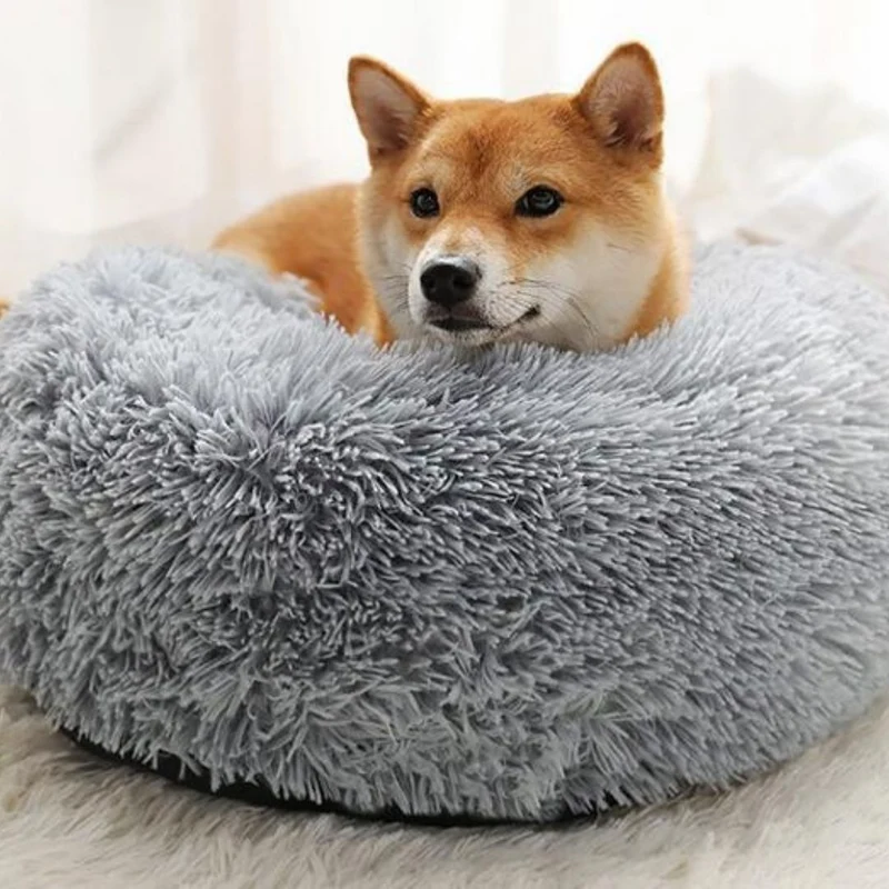 DODI - Lit Apaisant pour Chien et Chat