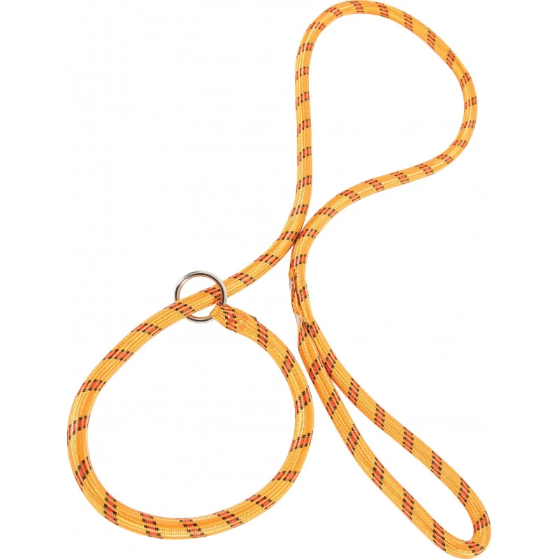 Laisse nylon corde lasso