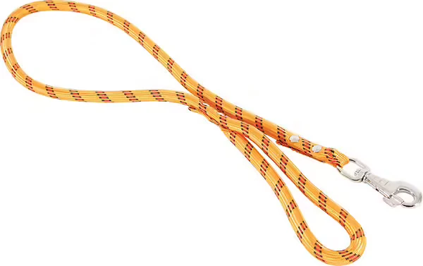 Laisse nylon corde