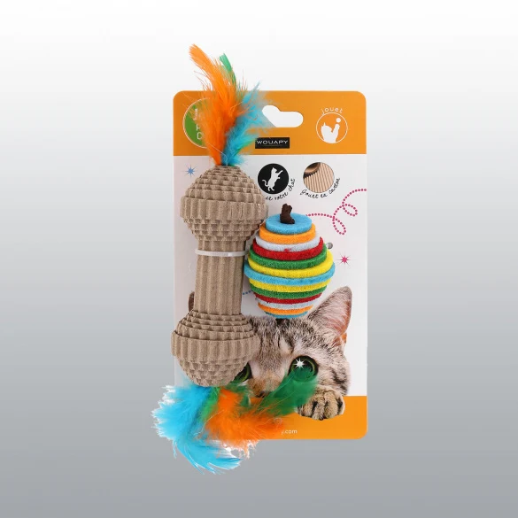 Jouet Fun rondo pour chat