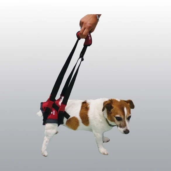Harnais de maintien handy canis