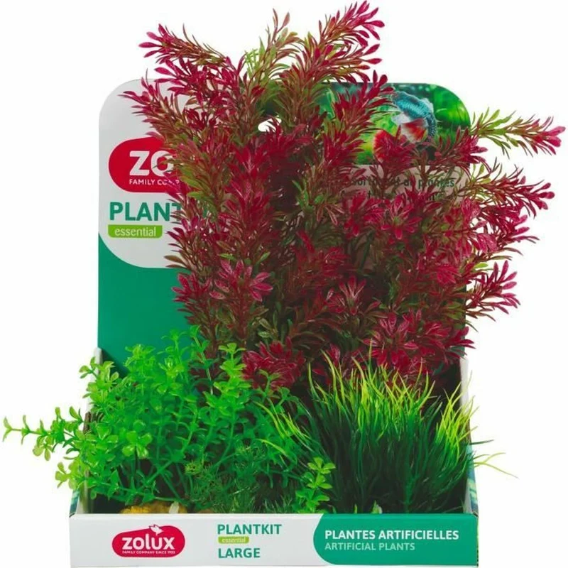 Plante décorative Zolux