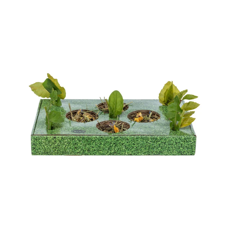 Plateau apéritif Trixie Vert Carton 28 x 3,8 x 18 cm