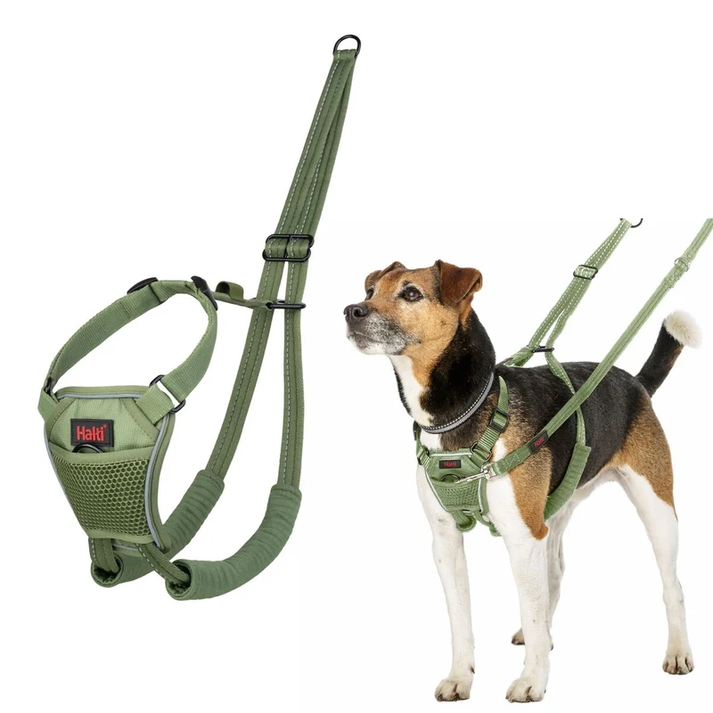 Harnais pour Chien Company of Animals 20