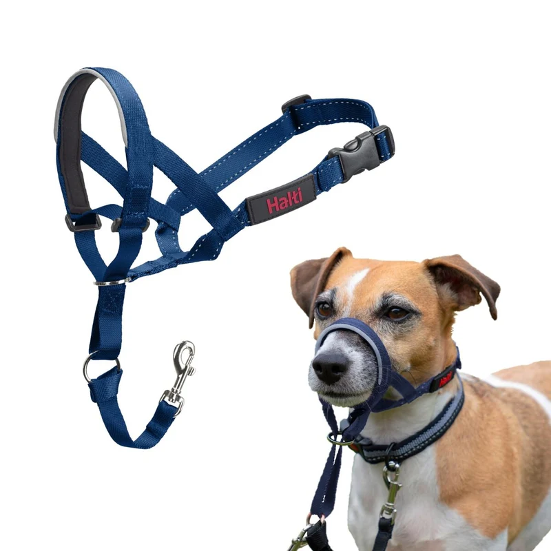 Harnais pour Chien Company of Animals Blue Taille 1