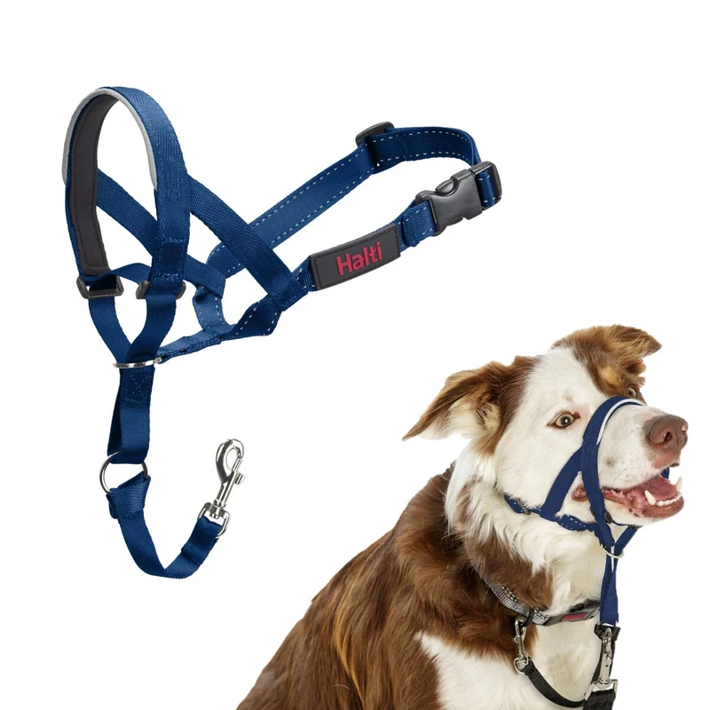 Harnais pour Chien Company of Animals Blue 2