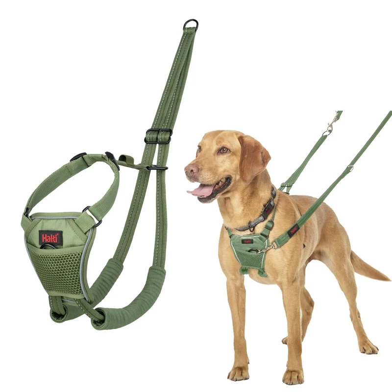 Harnais pour Chien Company of Animals 12