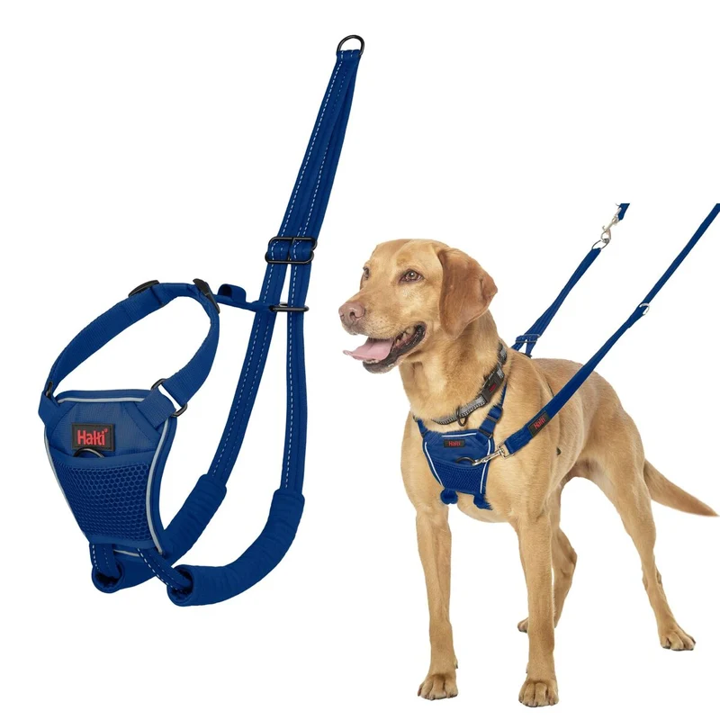 Harnais pour Chien Company of Animals Blue 12