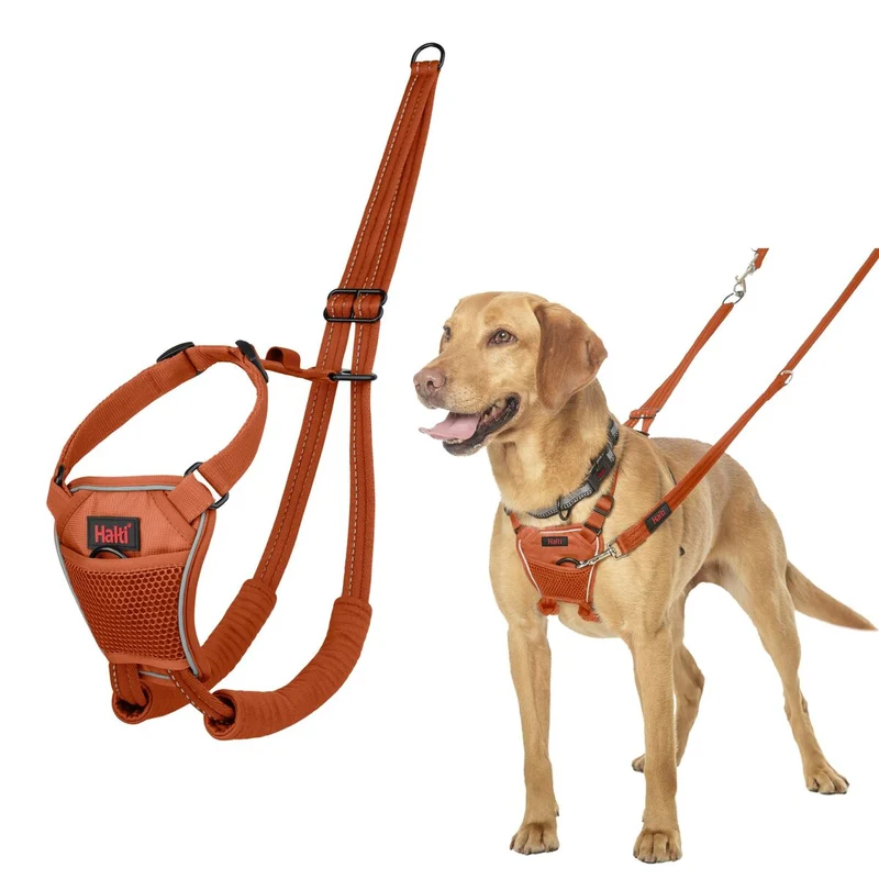 Harnais pour Chien Company of Animals Orange 12