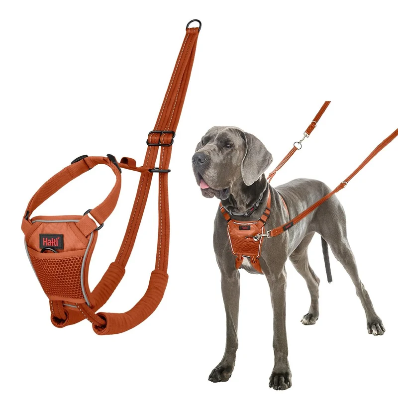 Harnais pour Chien Company of Animals Orange L