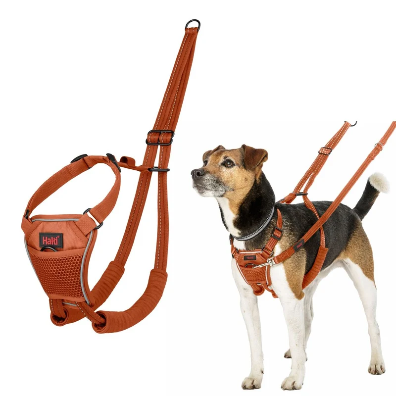 Harnais pour Chien Company of Animals Orange 20