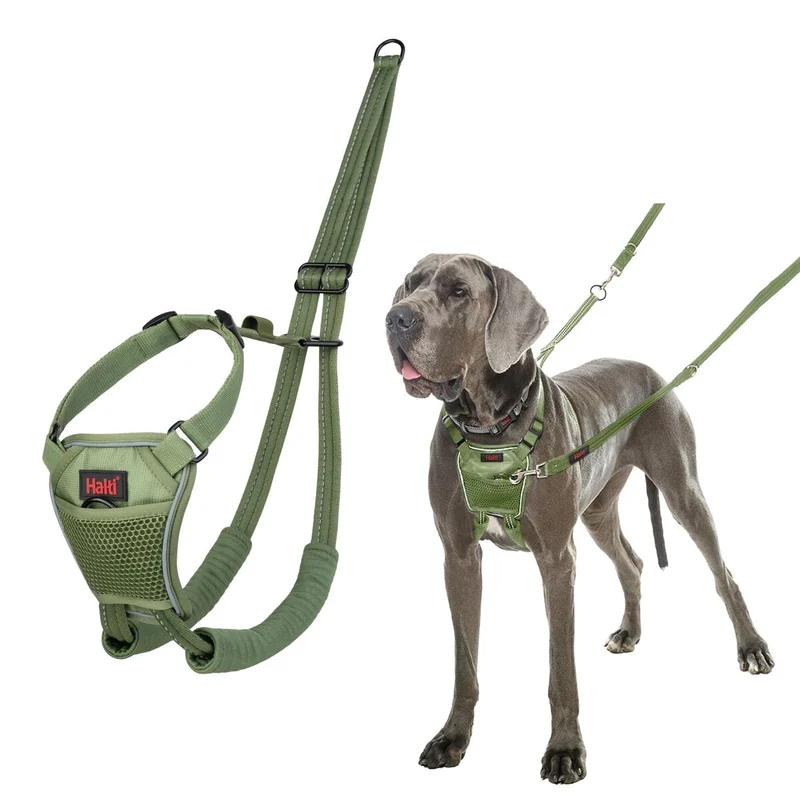 Harnais pour Chien Company of Animals L