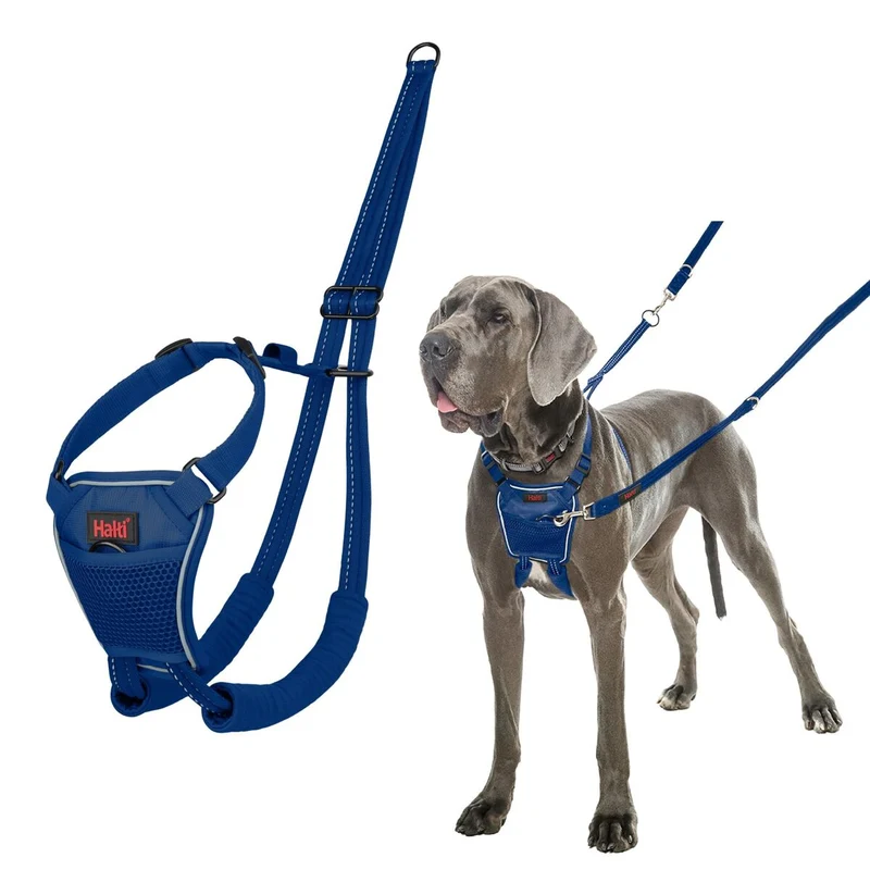 Harnais pour Chien Company of Animals Blue L