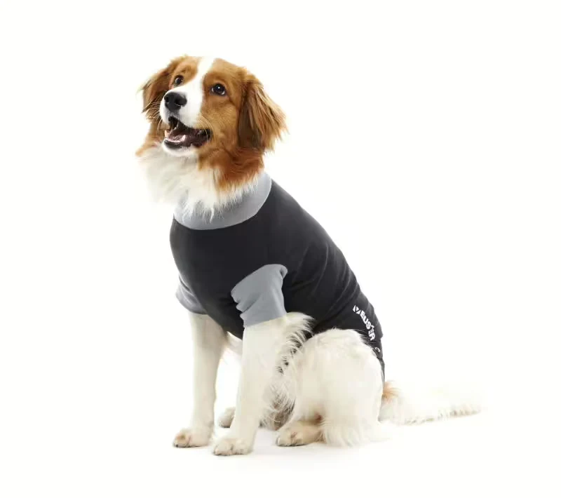 Body chien