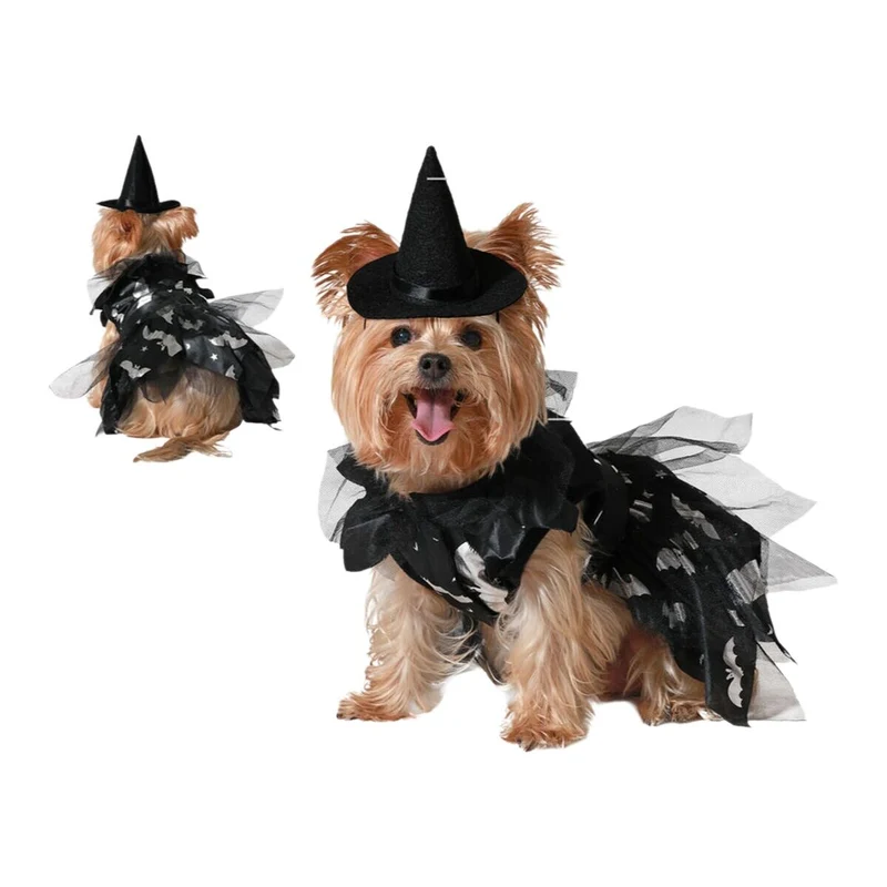 déguisement pour chien Sorcière
