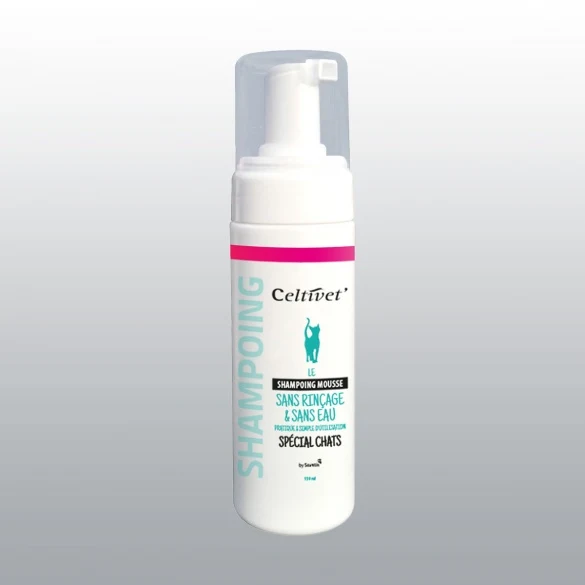 Shampoing sec mousse chat