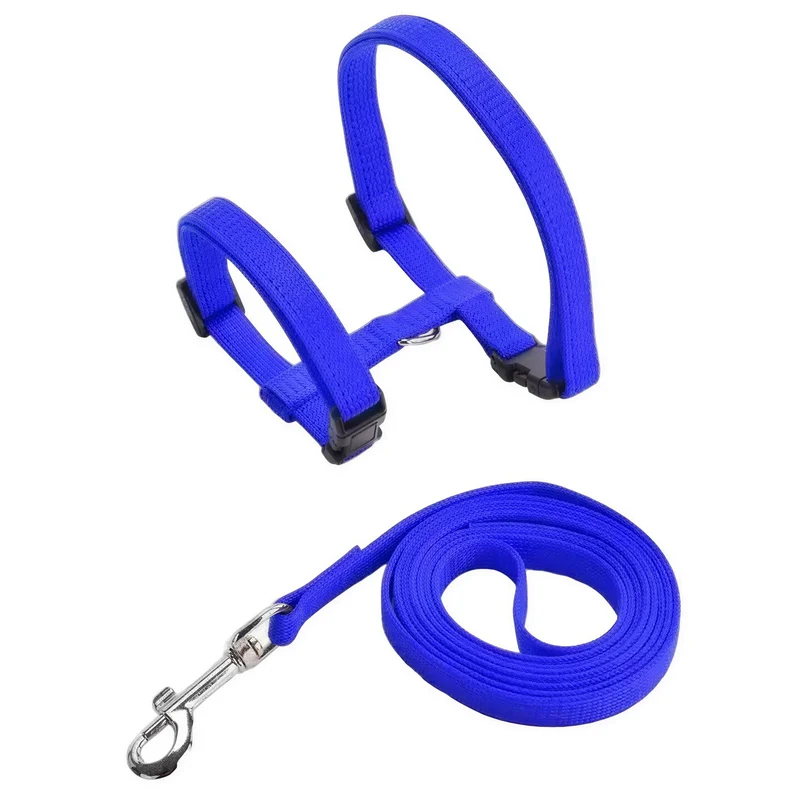 Collier en nylon réglable pour chat