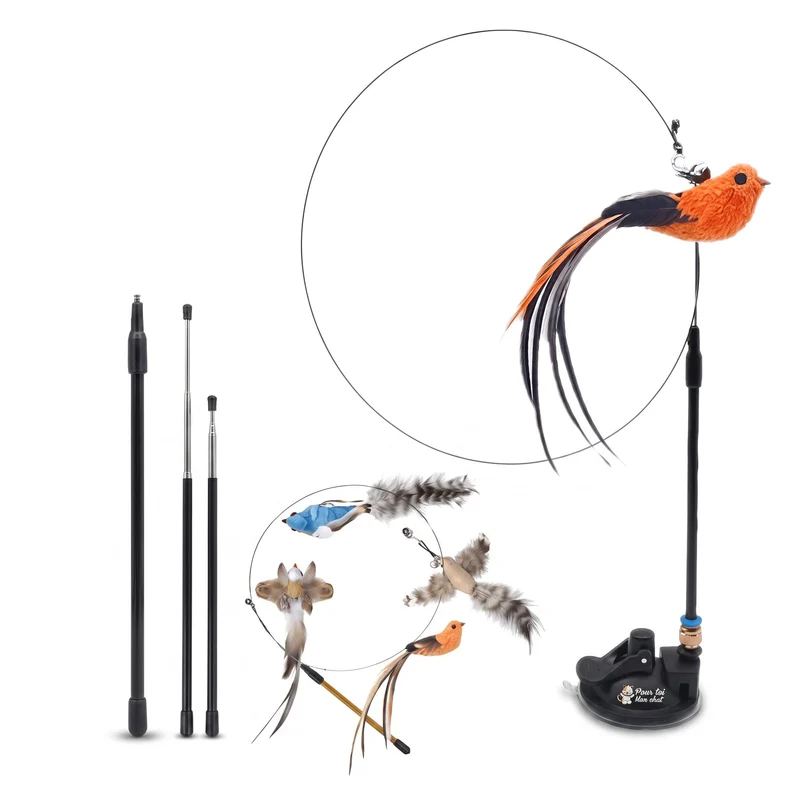 Jouet pour Chat Interactif à Ventouse - Simulation d’Oiseau et Plumes Amovibles