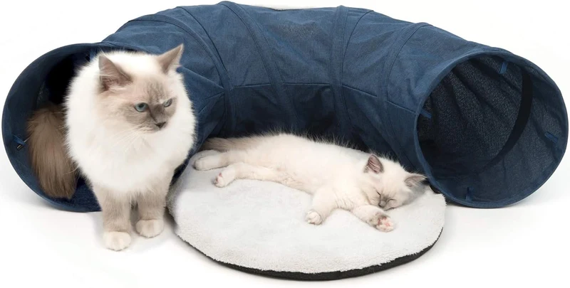 Vesper tunnel bleu chat