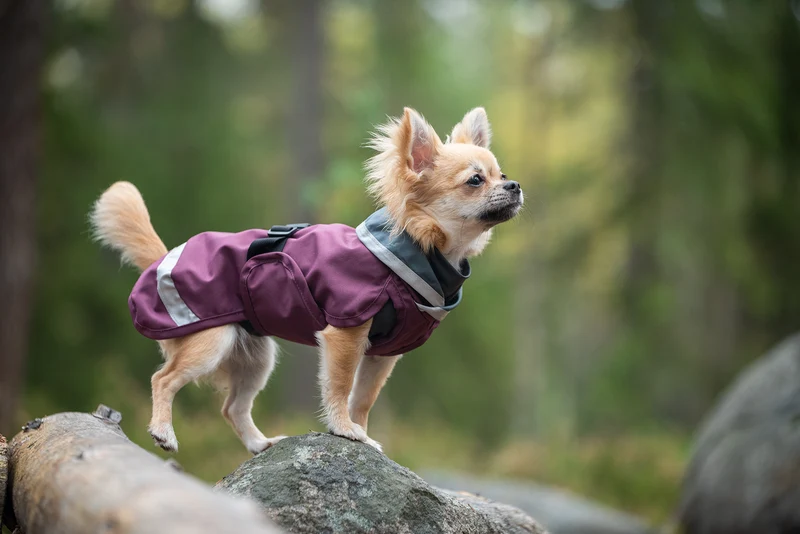 Pomppa Sade Plum manteau imperméable chien