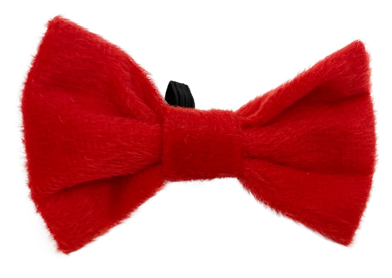 Noeud rouge de Noël chien, chat
