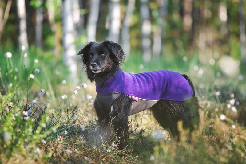 Pomppa Jumppa Violet manteau polaire chien