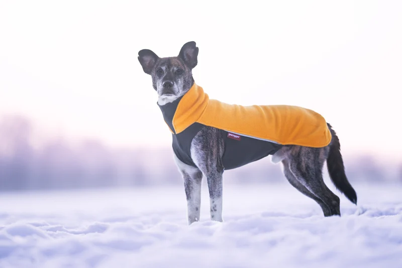 Pomppa Jumppa Curry manteau polaire chien