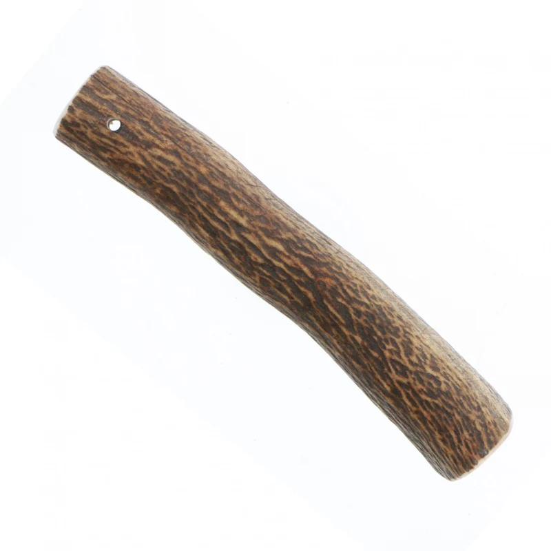 Bois de cerf chien