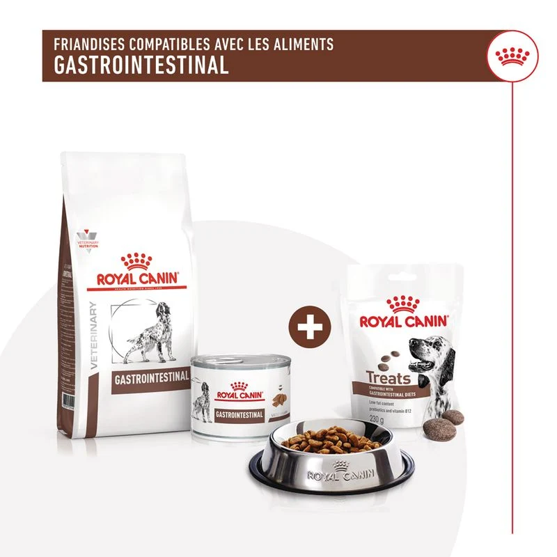 Royal Canin Gastrointestinal Treats chien