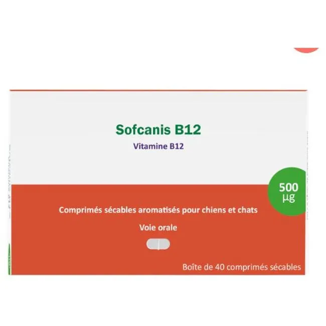 Sofcanis B12 chien, chat