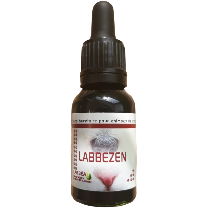 Labbezen chat, chien