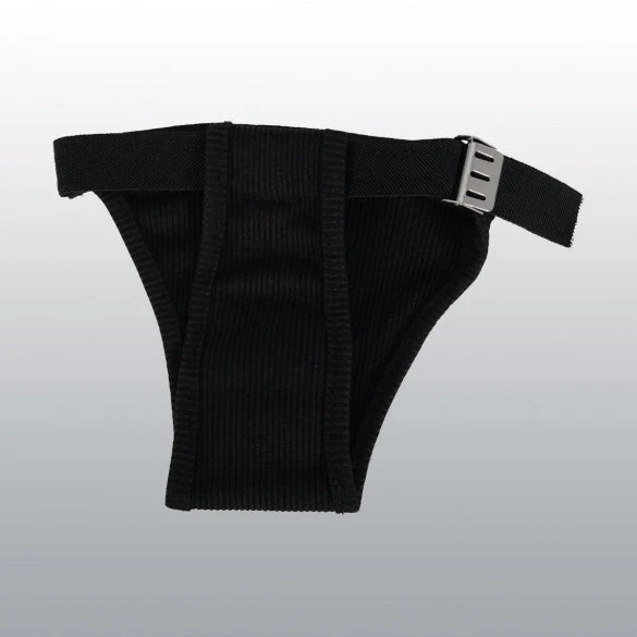 Slip hygiénique en taille 2 chien