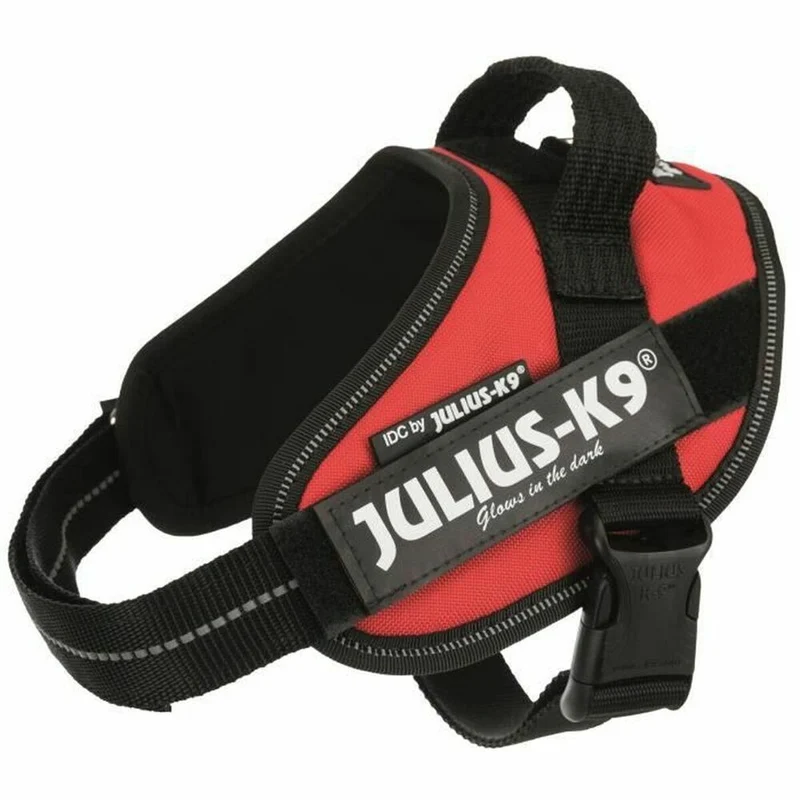 Harnais pour Chien Julius K9 IDC Rouge S - Mini