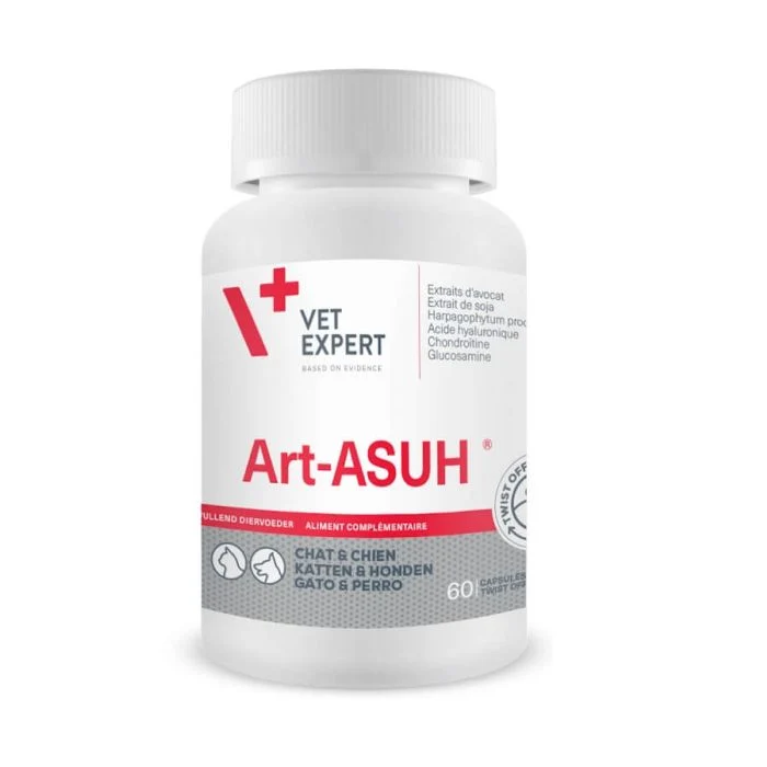 Art Asu XL 90 comprimés