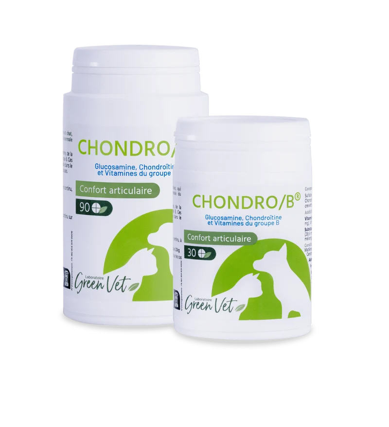 Chondro B spécial articulations chat, chien
