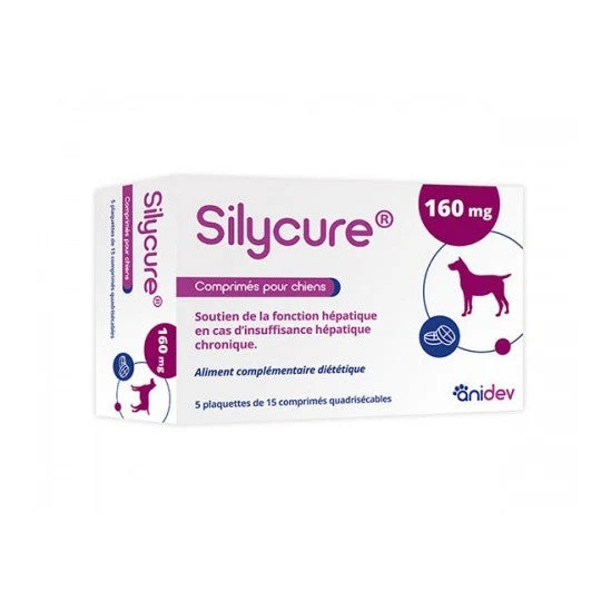Silycure soutien du foie chien