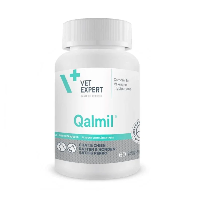 Qalmil chat, chien