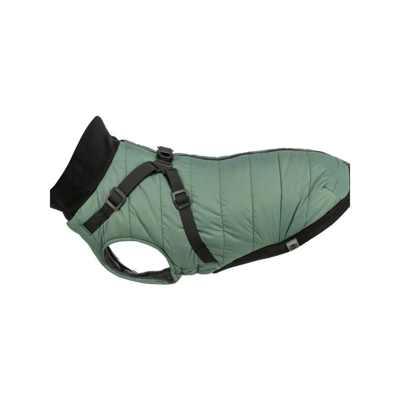 Manteau pour Chien Trixie Vert XXS