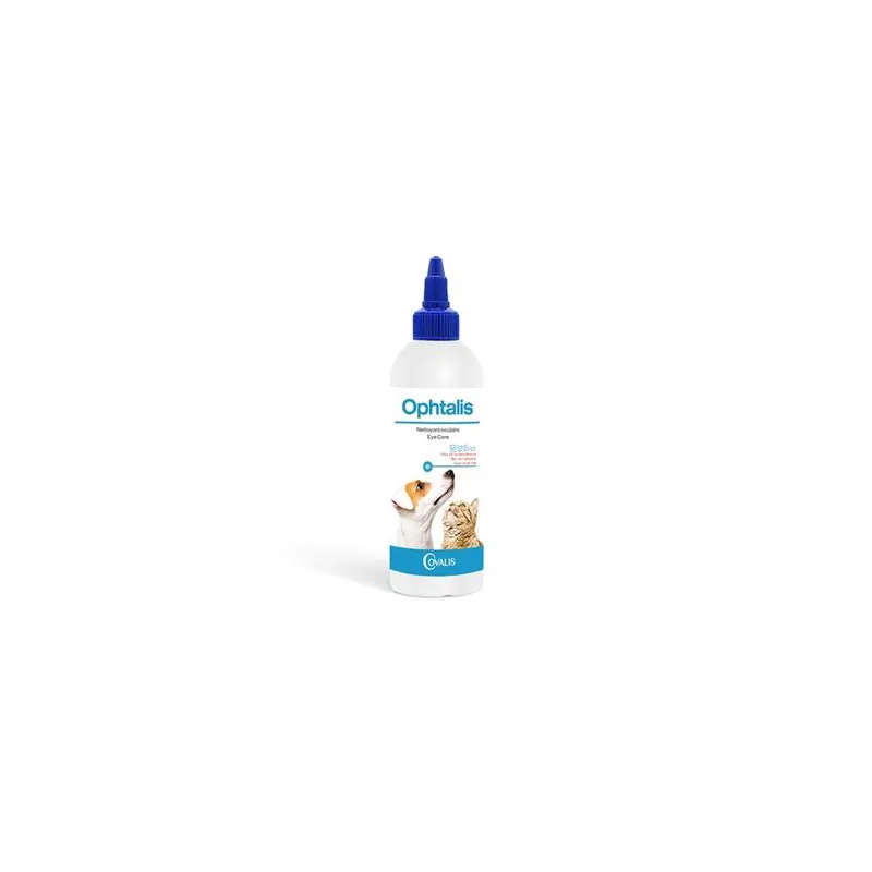 Ophtalis chien, chat