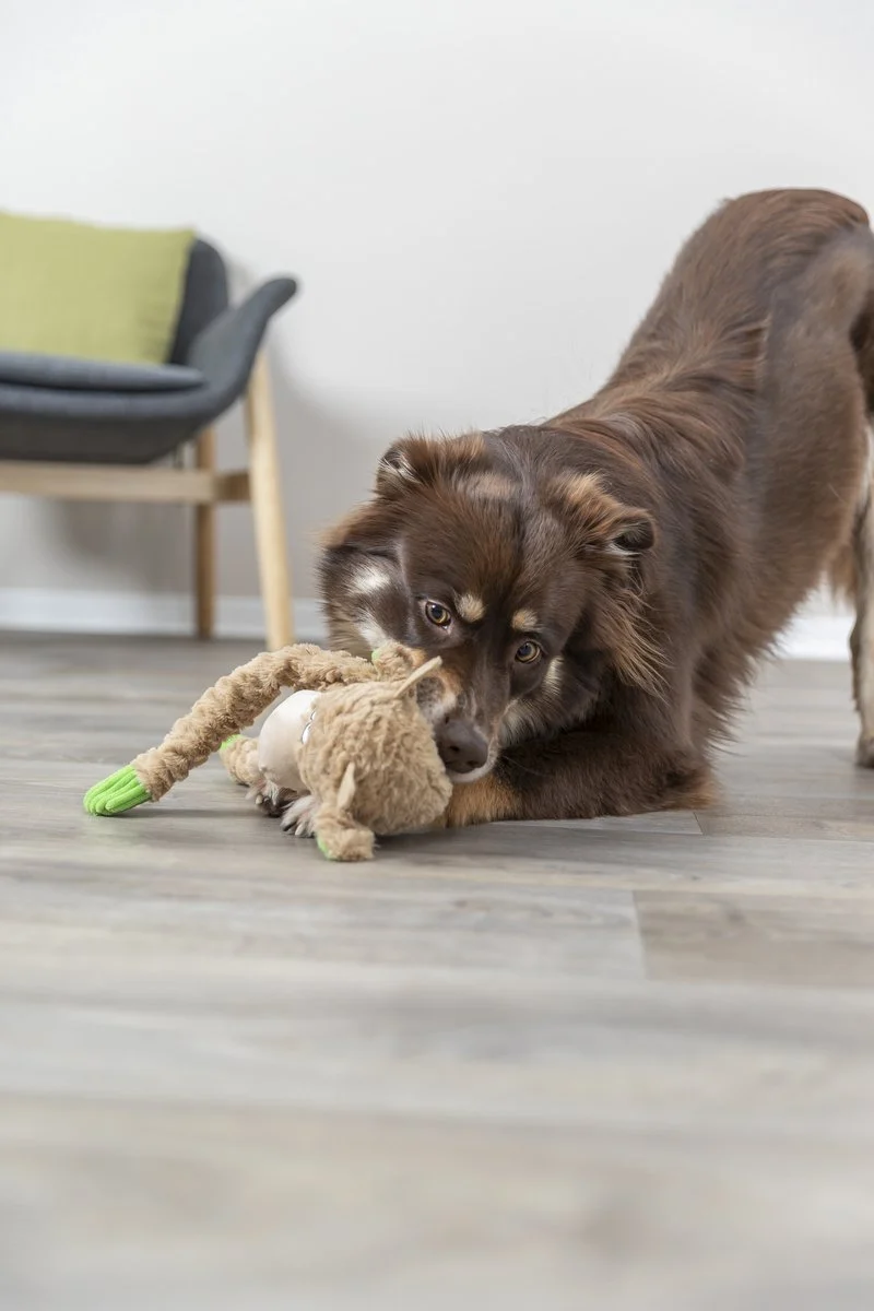Jouet Peluche Corde Vache chien
