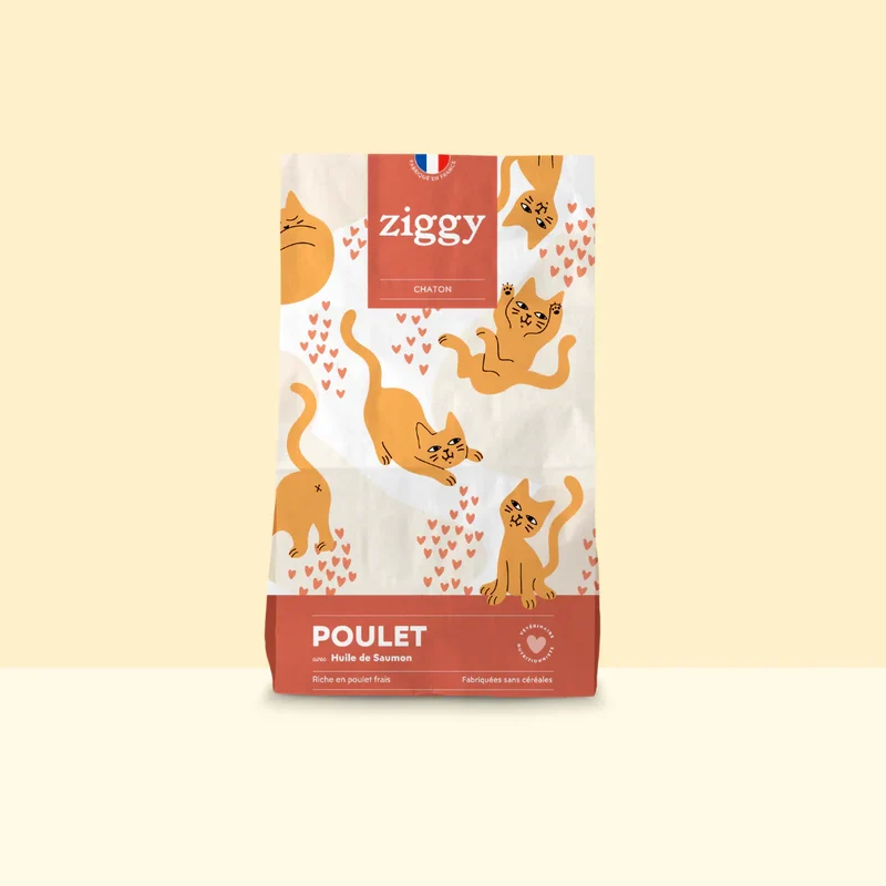 Ziggy poulet - croquettes chaton