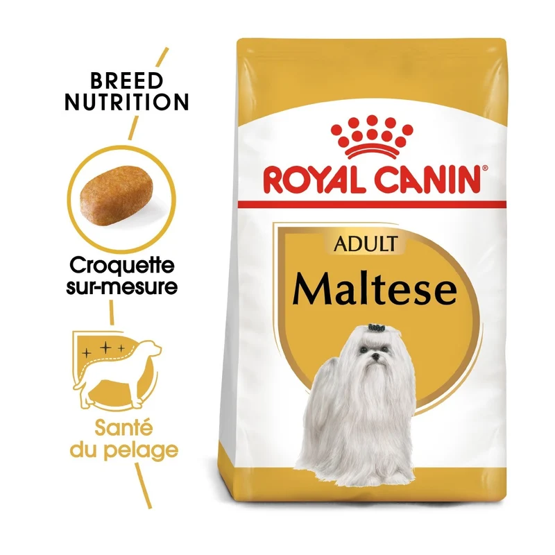 Royal Canin Bichon Maltais Adult - croquettes chien