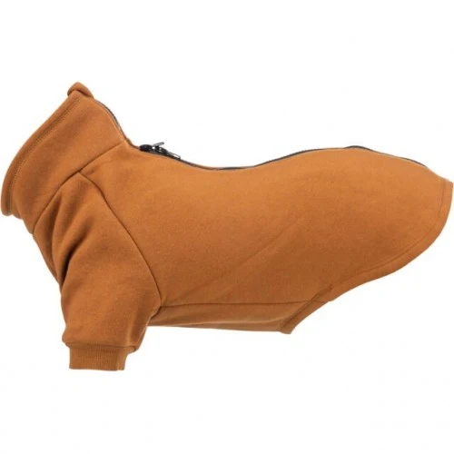 Sweat CityStyle Amsterdam orange rouille chien