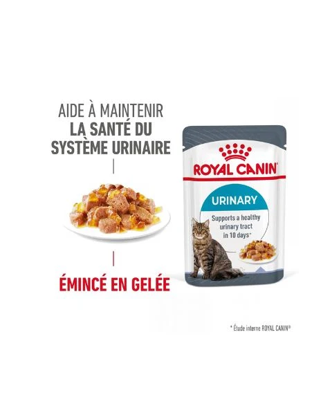 Royal Canin Urinary Care en gelée – pâtée chat