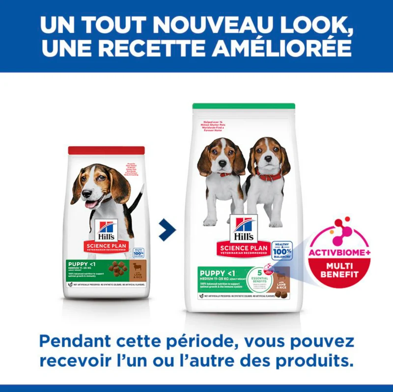 HILL'S Science Plan Medium Puppy à l'Agneau - Croquettes pour chiot